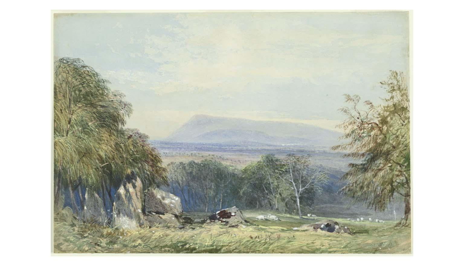 A watercolour landscape painting showing grass, rocks, scattered sheep and tress in the foreground, with plains and a large  gently sloping mountain range in the background.