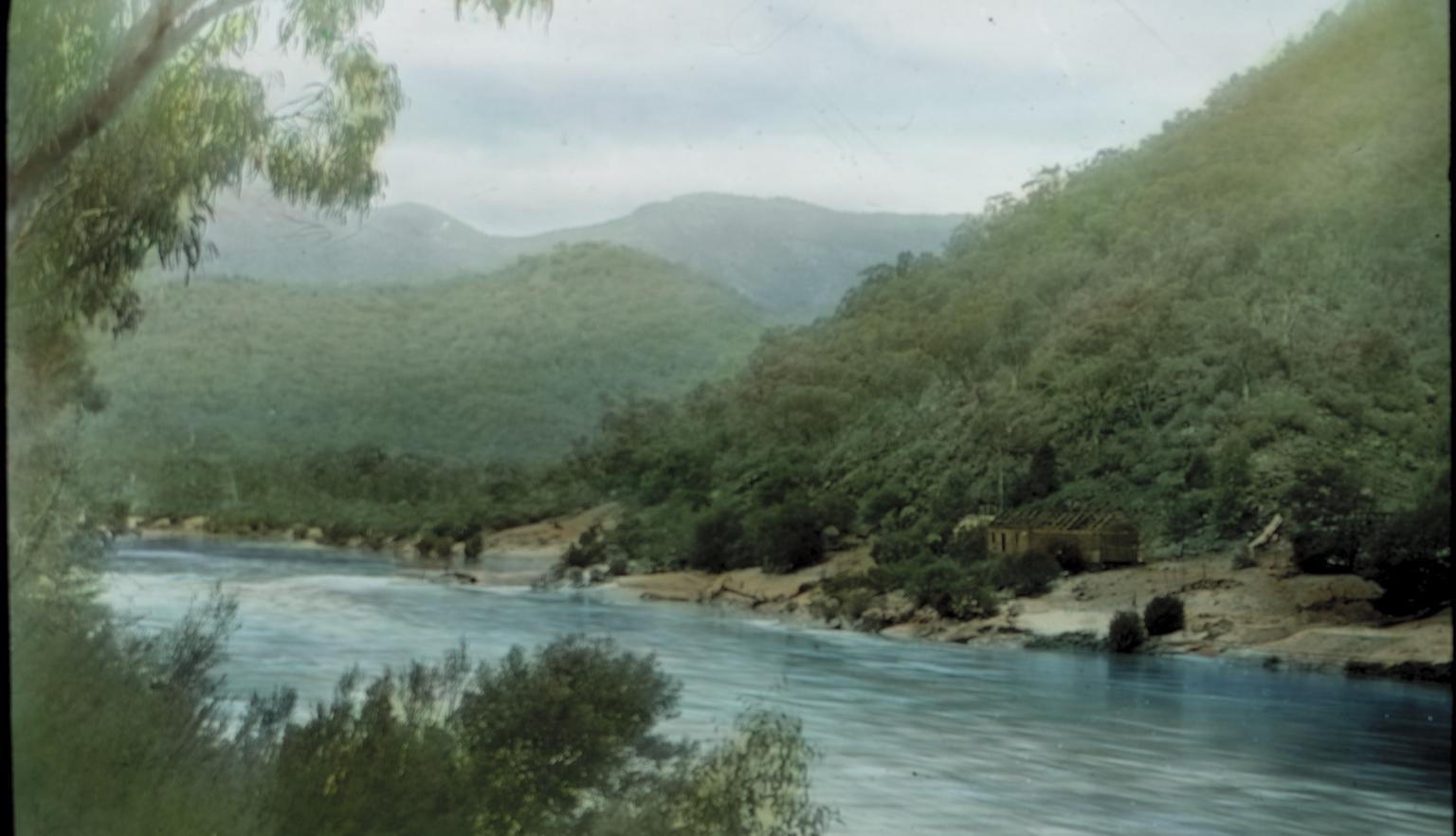 River between tree-covered mountains