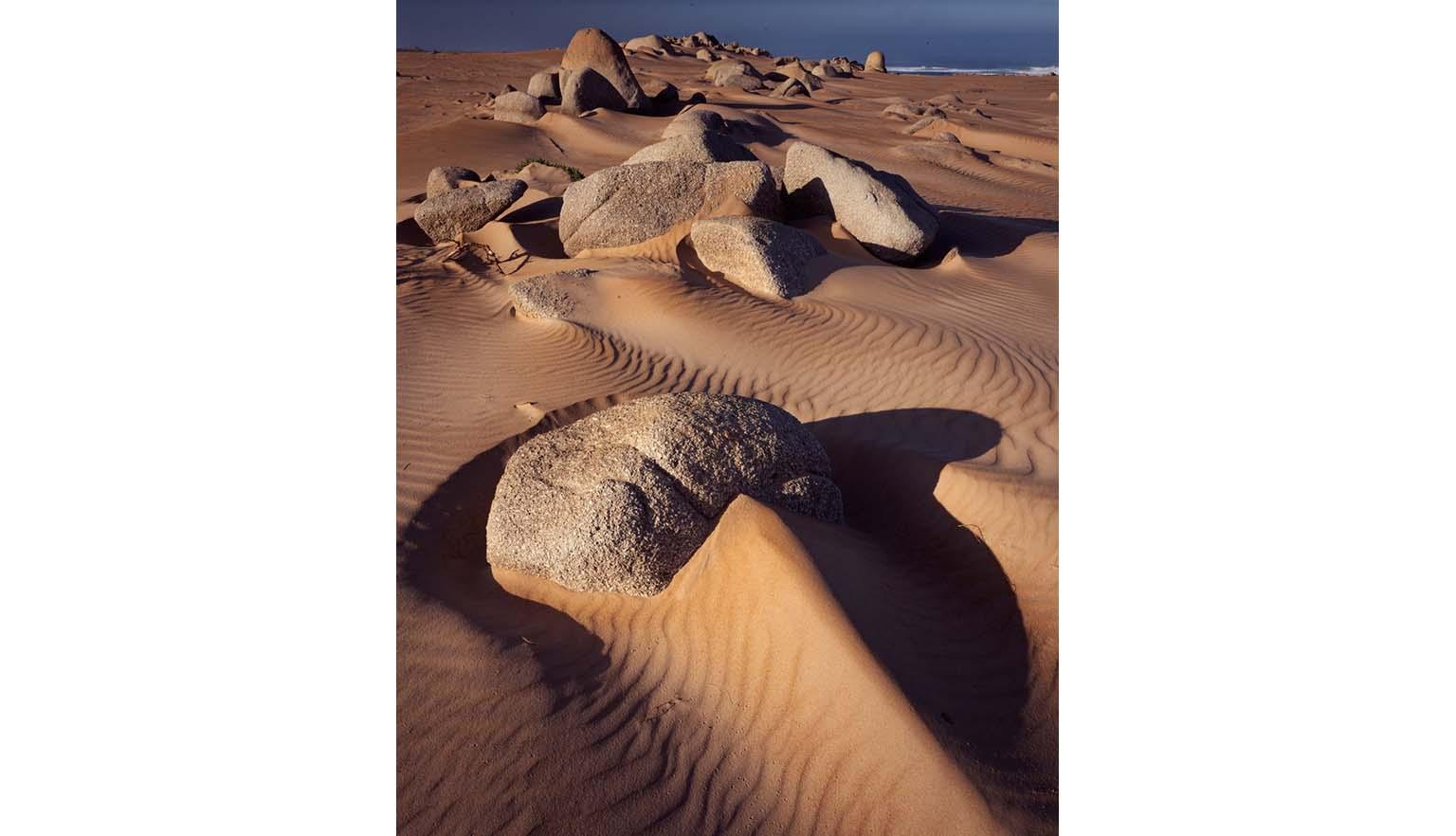 A photograph of beachside sand dunes. The ocean can just be seen in the background. Among the sand dunes, which are rippled with wind made patterns, are large smooth boulders