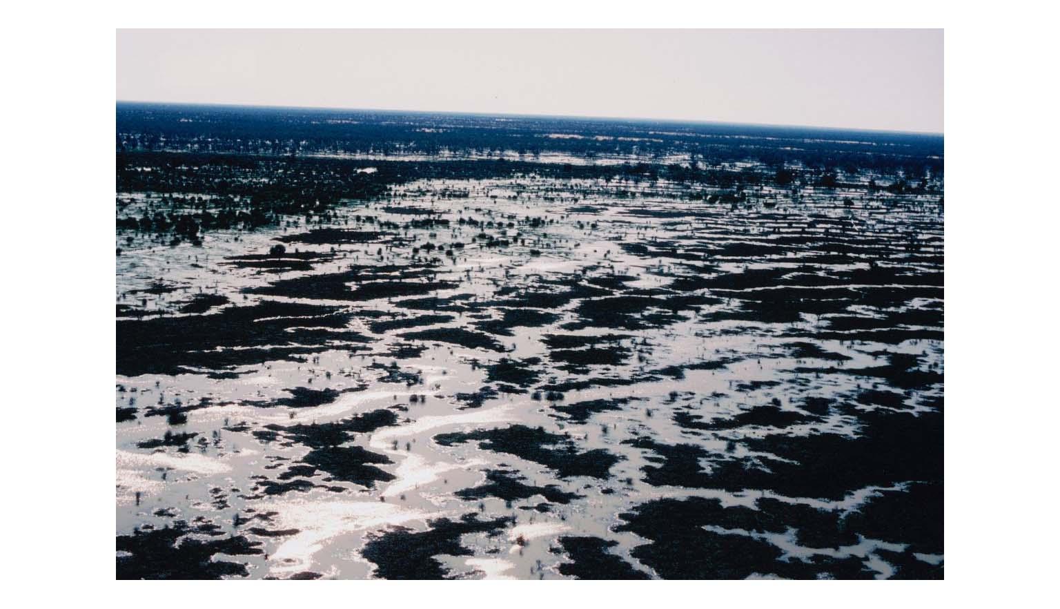 A high aerial shot of a flooded landscape. Creeks and rivers have over flowed.