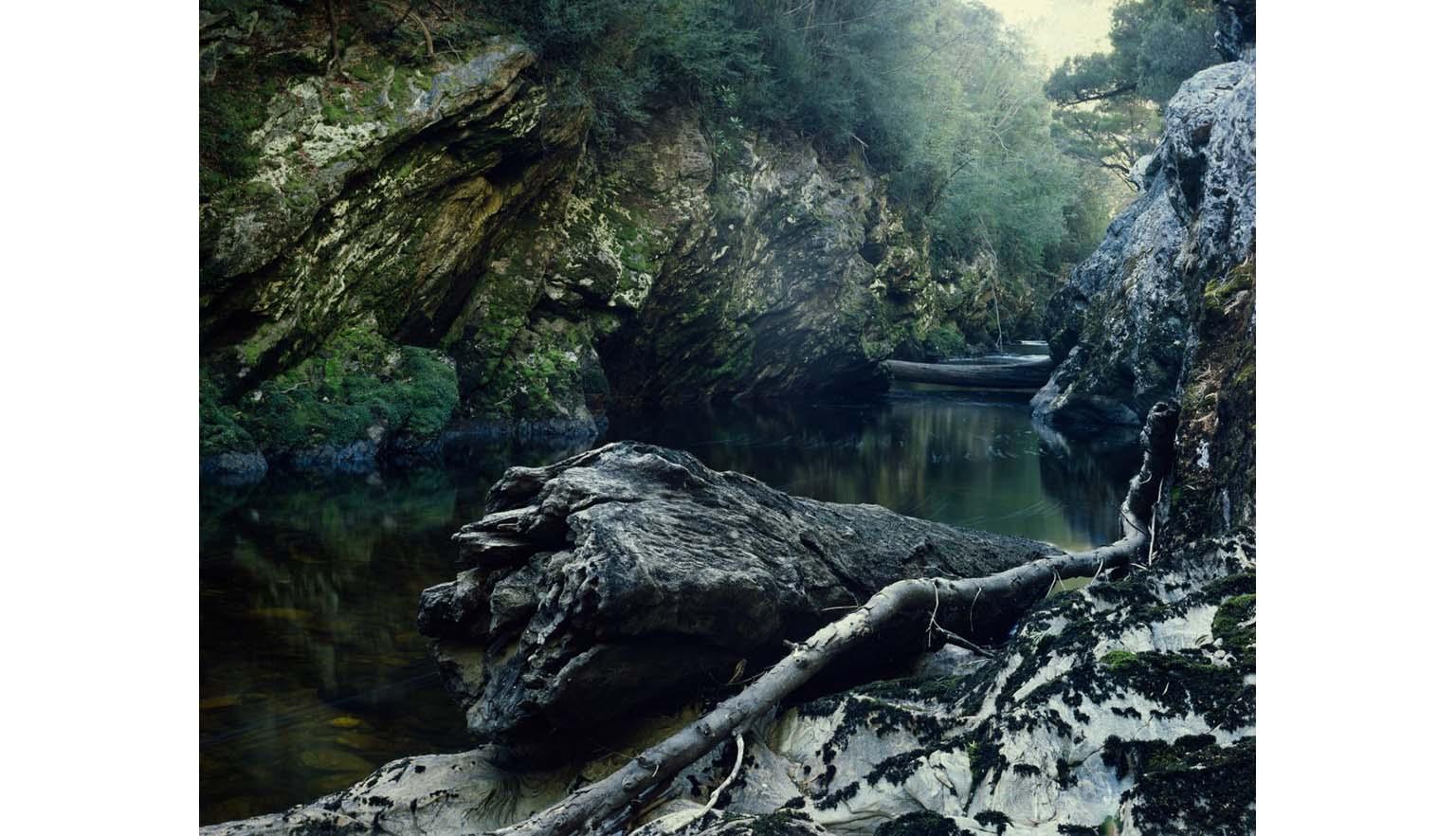 A scene of a river gorge. A still river winds between rocky cliffs. The cliffs are topped with foliage. There is a large dead tree trunk and branches washed up against a bank.