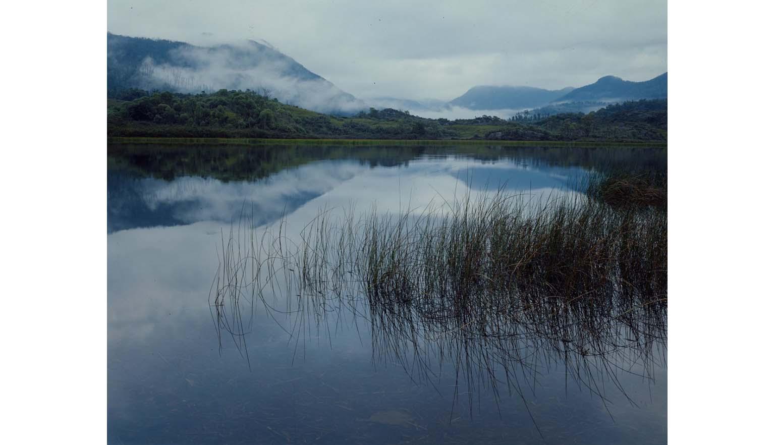 A landscape of a mountain lake scene. Misty mountains are visible in the background and are reflected in the still lake. Lake grass grows out of the lake in the foreground