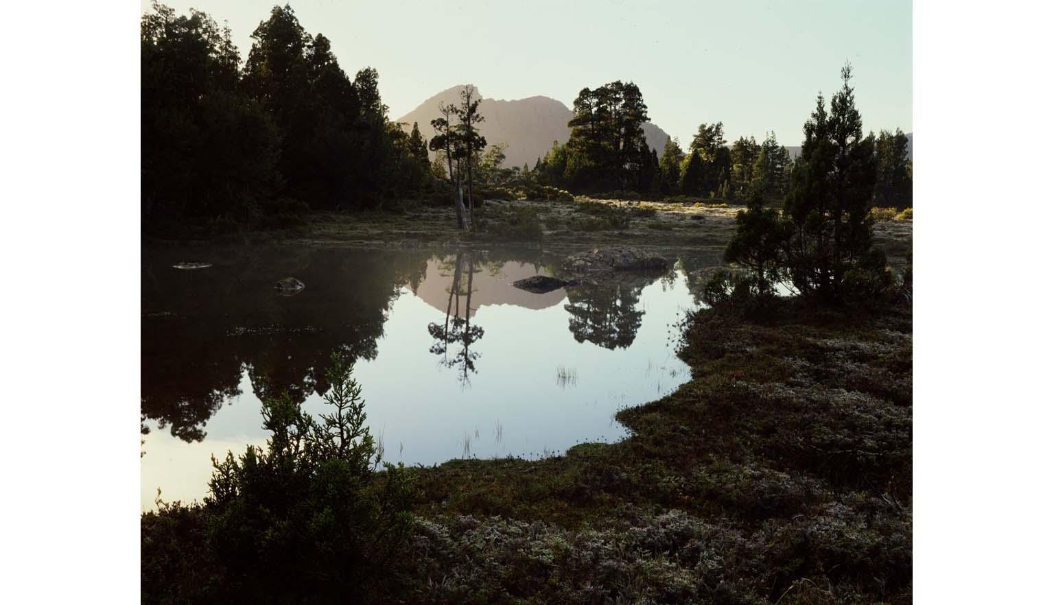 A landscape photograph of a marshy lake area. A mountain can be seen in the mist in the background. The trees and mountain are reflected in the still water of the lake.
