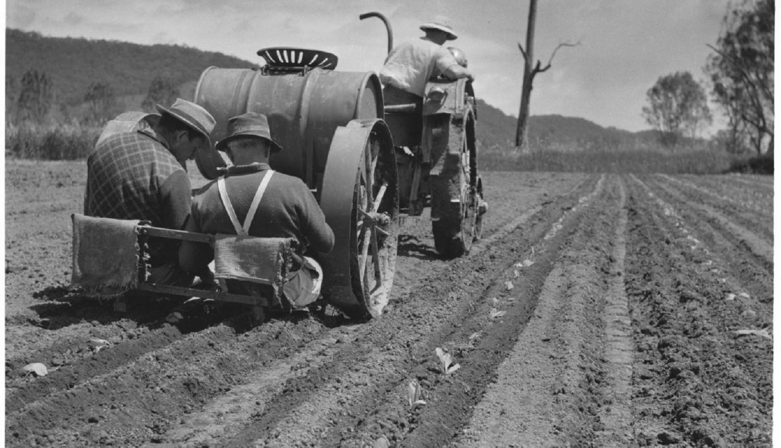 Two people sit on a small, tractor-pulled planting machine, placing plants into the soil. Another person drives the tractor, with rows of freshly plowed earth extending into the distance.