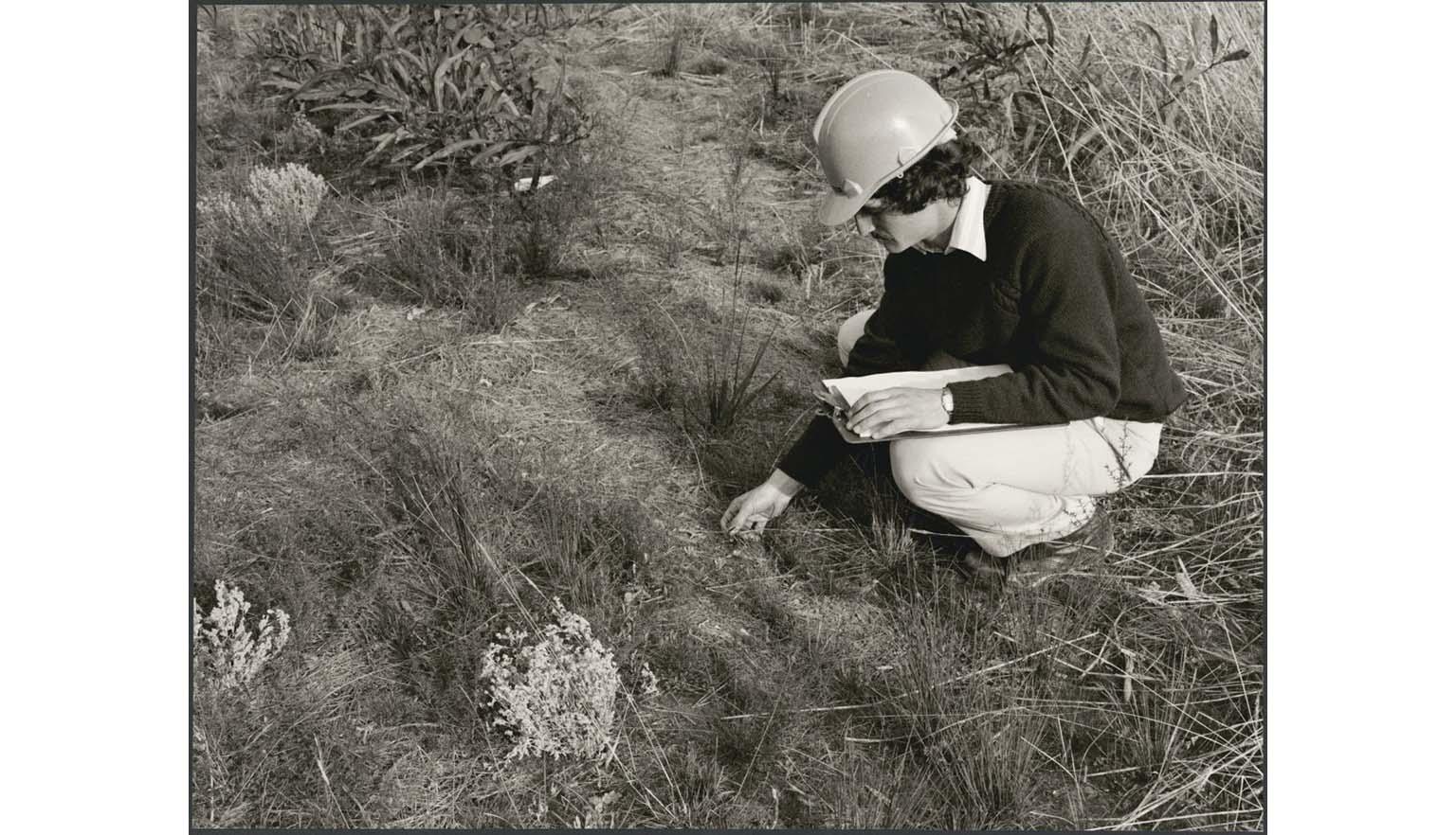 man squatting down studying plants