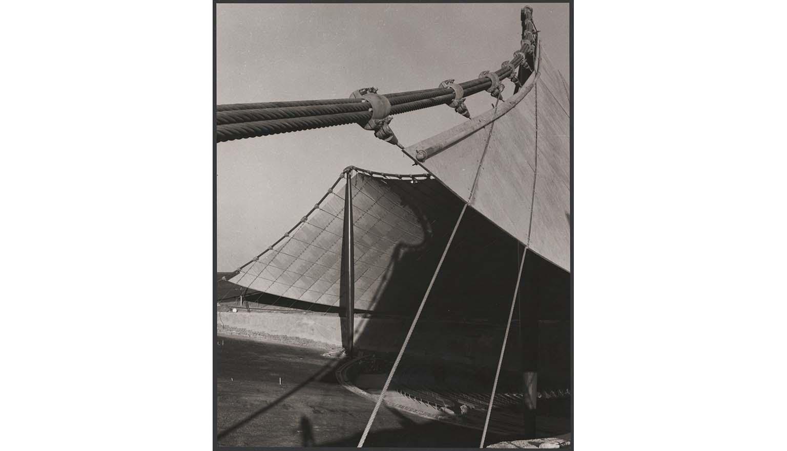 An abstract photograph of the Sidney Myer Music Bowl showing the steel cable supports holding up the sail-like roof