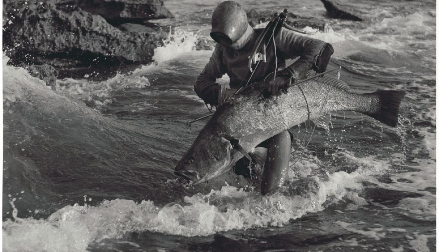 A spearfisher in a wetsuit stands in the surf holding a large fish. Waves crash against rocks in the background as the person steadies themselves in the water.