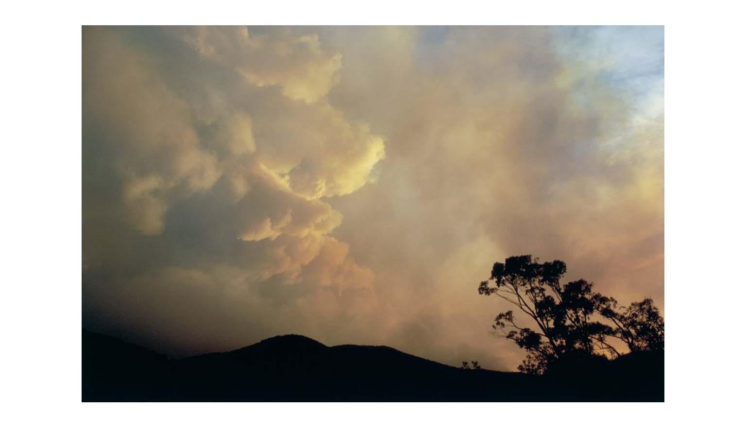 A photograph of the sky filled with billowing white and black smoke. A hill and a large gum tree are in silhouette against the sky