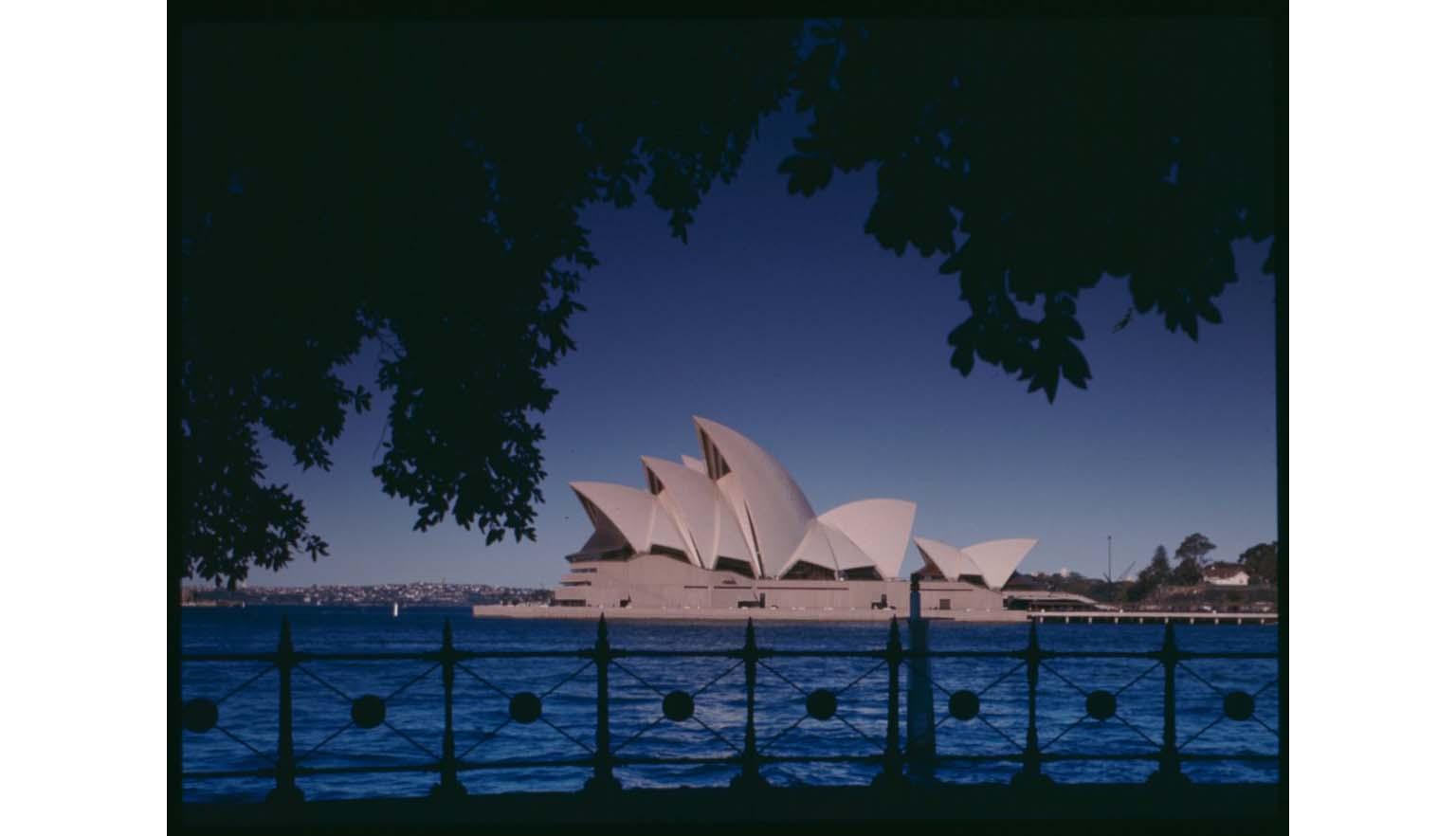 A photograph of the Sydney Opera House during the day. The Opera House is framed by the hanging branches of a large tree. In the foreground is a wrought iron fence.