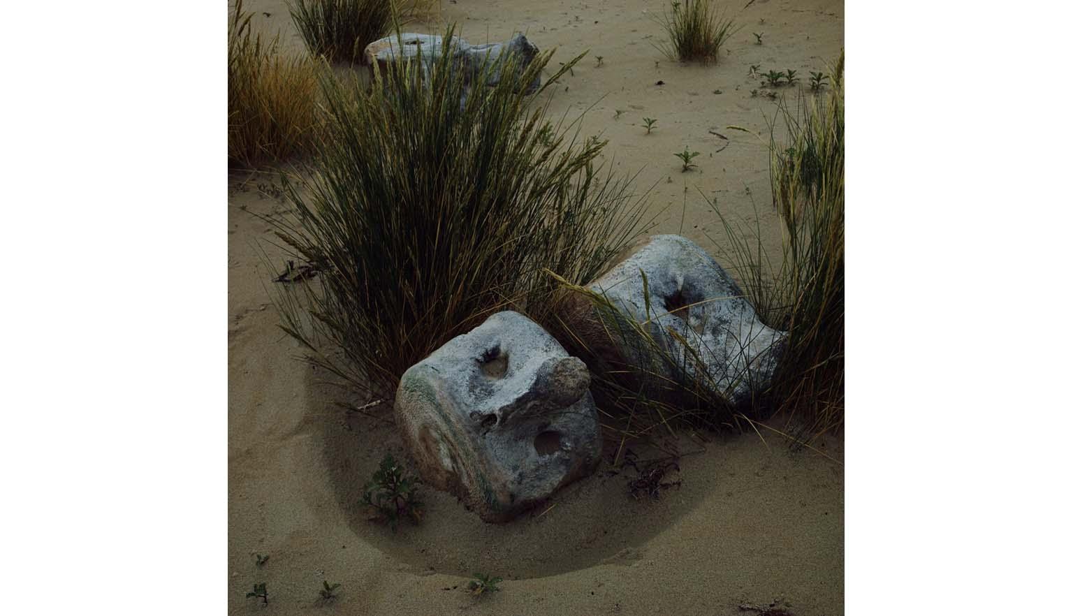 Three disconnected vertebra of a whale sit on a beach among sand and tufts of grass.