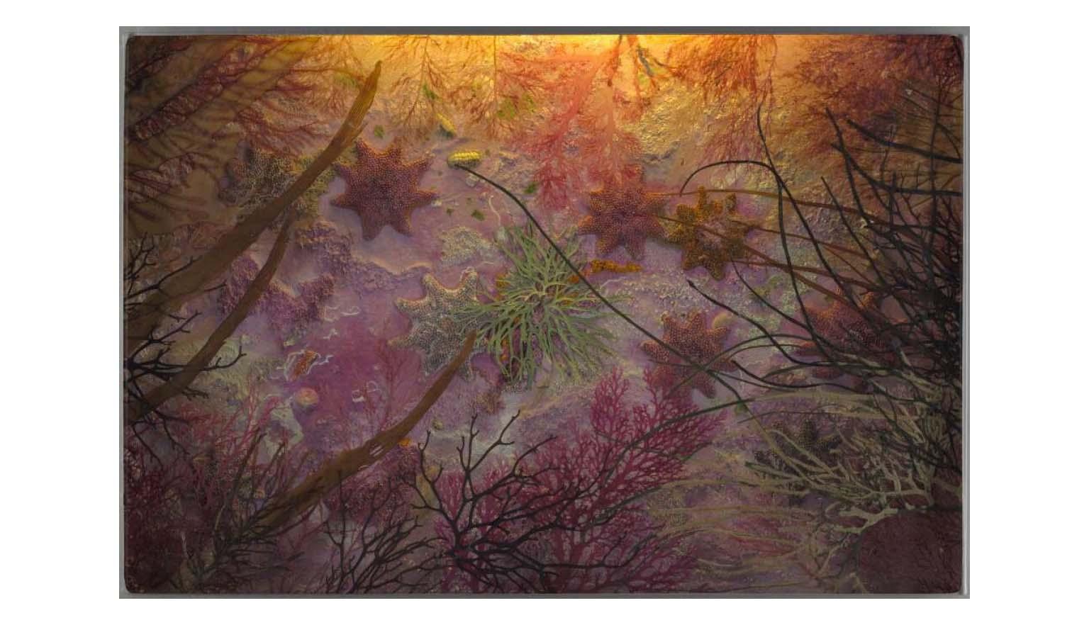 A collage of green and purple plant matter, aluminium and perspex, lit from above by a warm, yellow internal light.