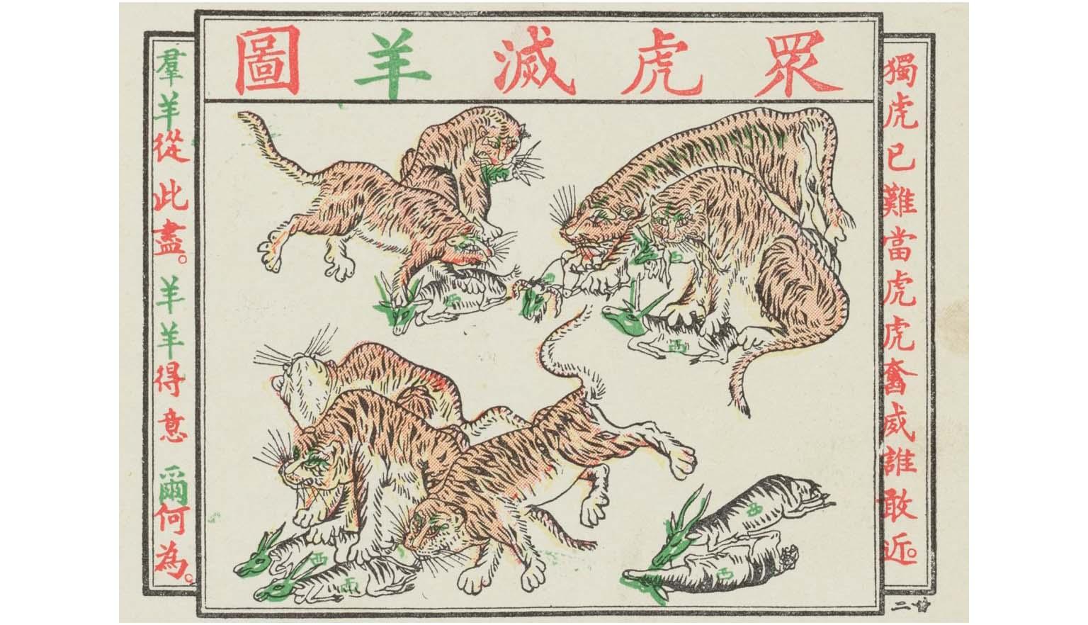 illustration of tigers hunting goats