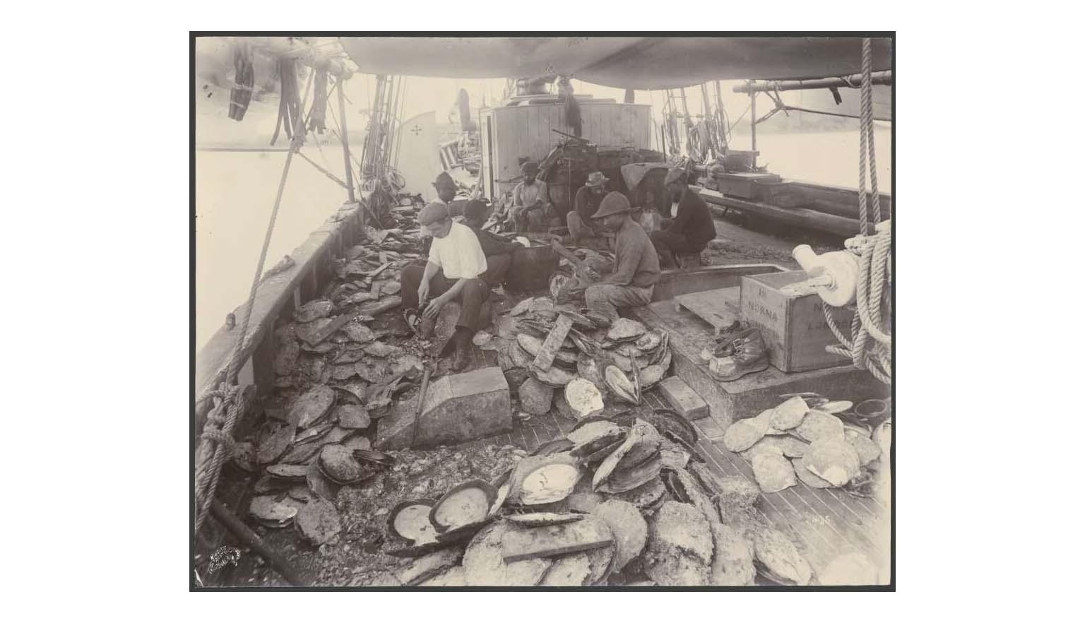 sepia photo of shells in a pearling boat