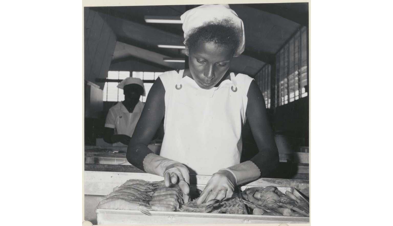 black and white photo of a woman processing prawns on a table