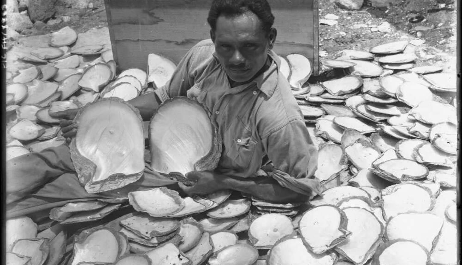 black and white photo of a man sorting shells