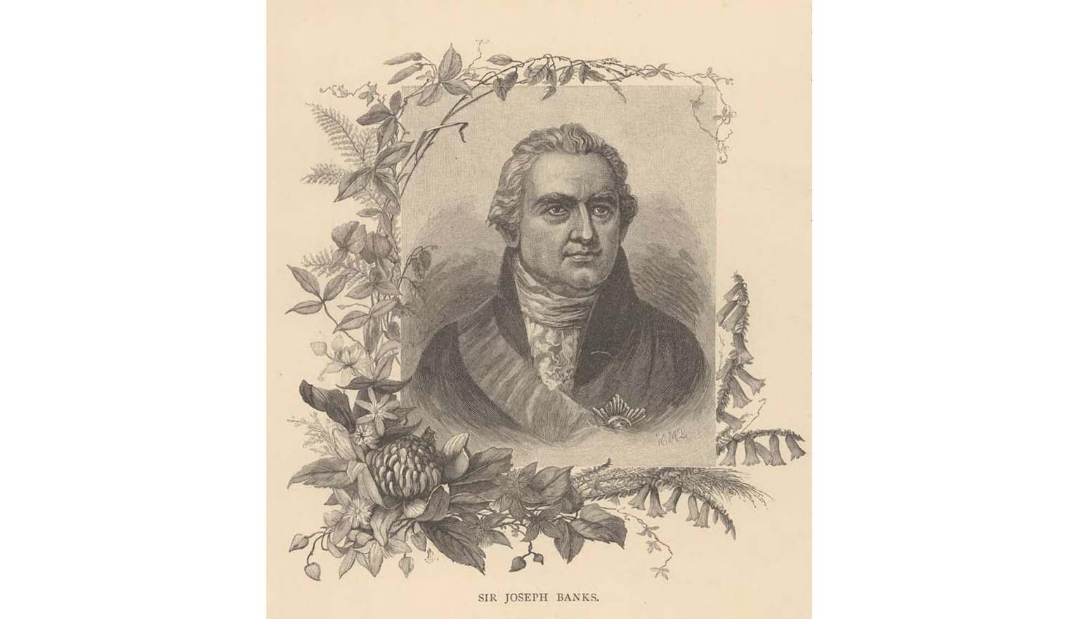 wood engraving of man bordered by Australian flora