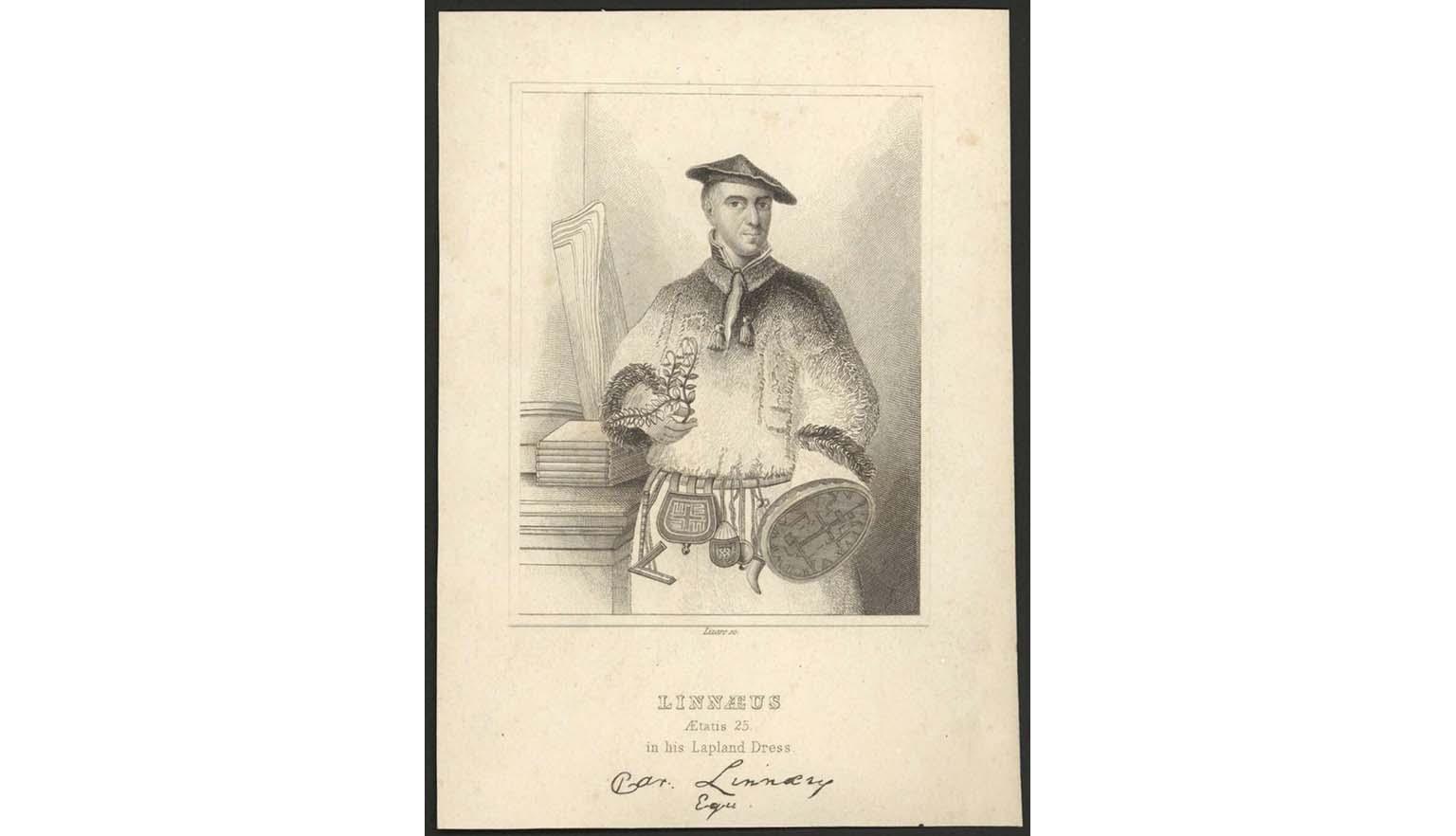 a drawing of Linnaeus, aetatis 25, in his Lapland dress