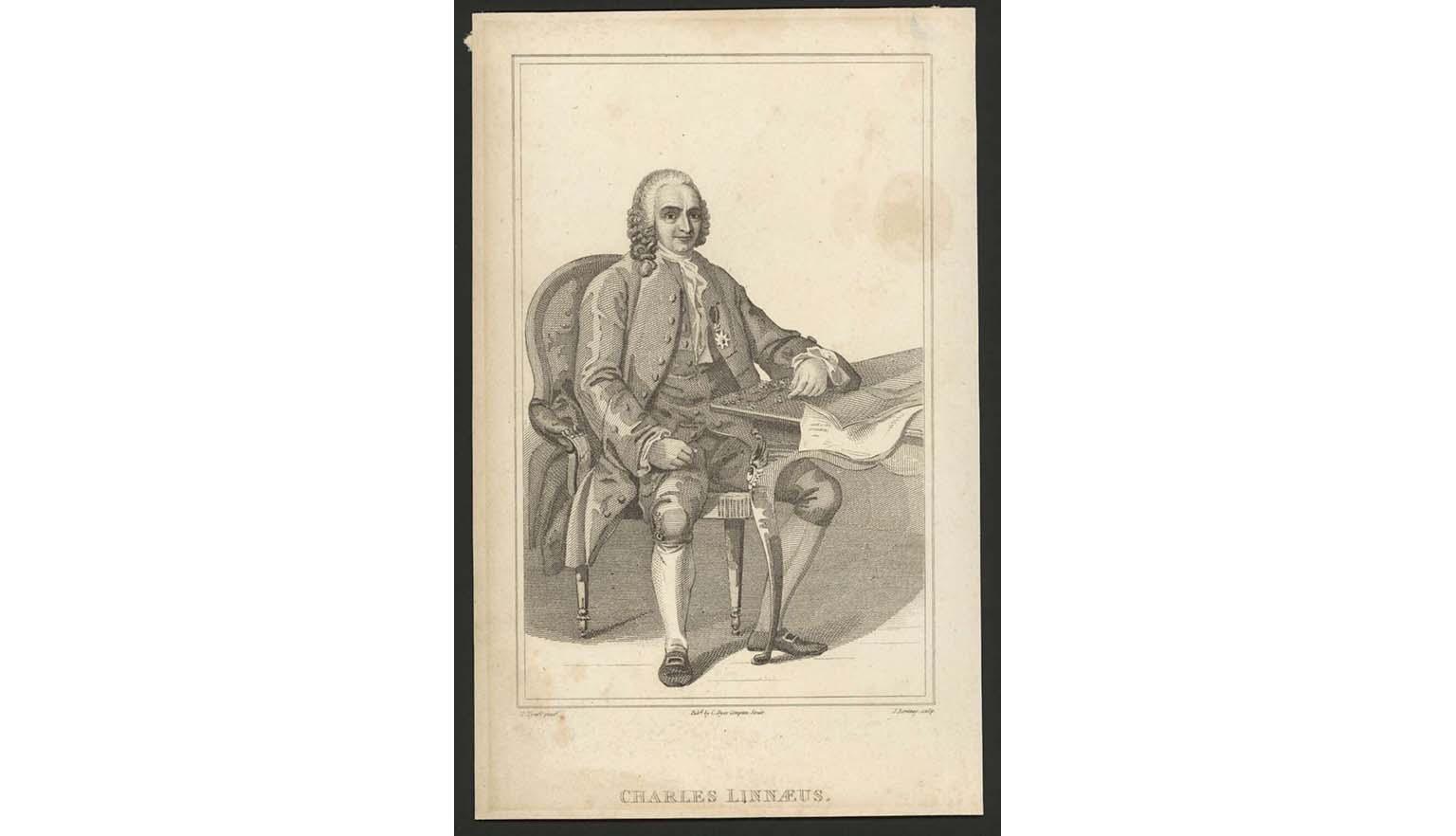 Etching of a man with papers sitting at an ornate table