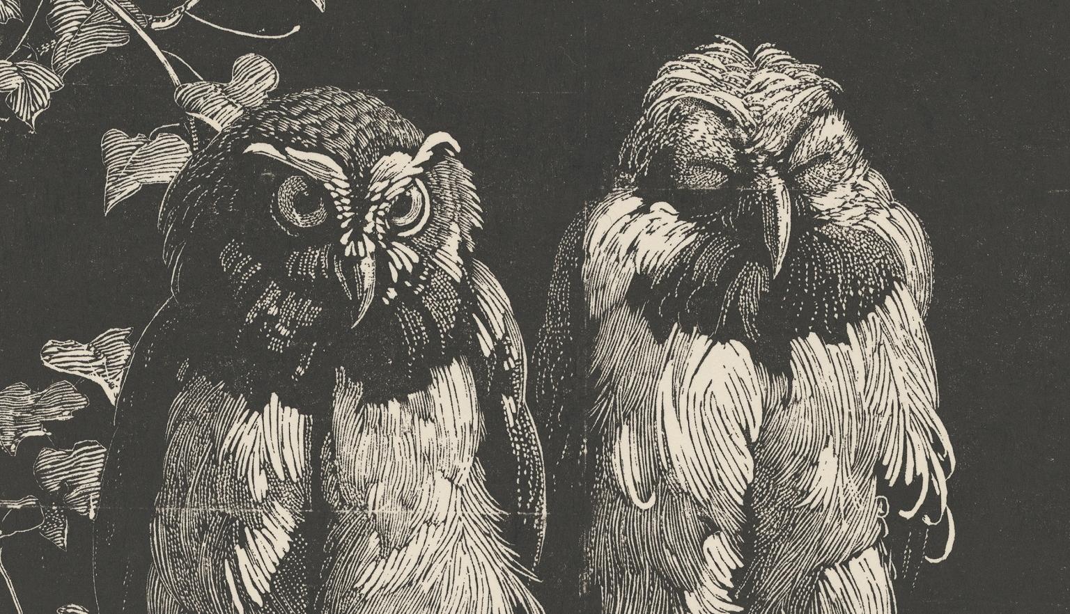 Print made from wood engraving featuring two owls standing in a tree