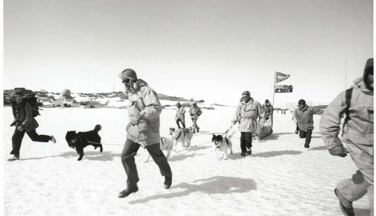 Black and white photo of men and dogs running on snow