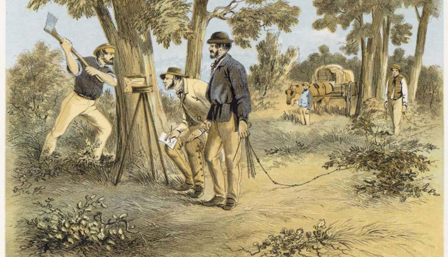 Drawing of surveyors in the Australian bush