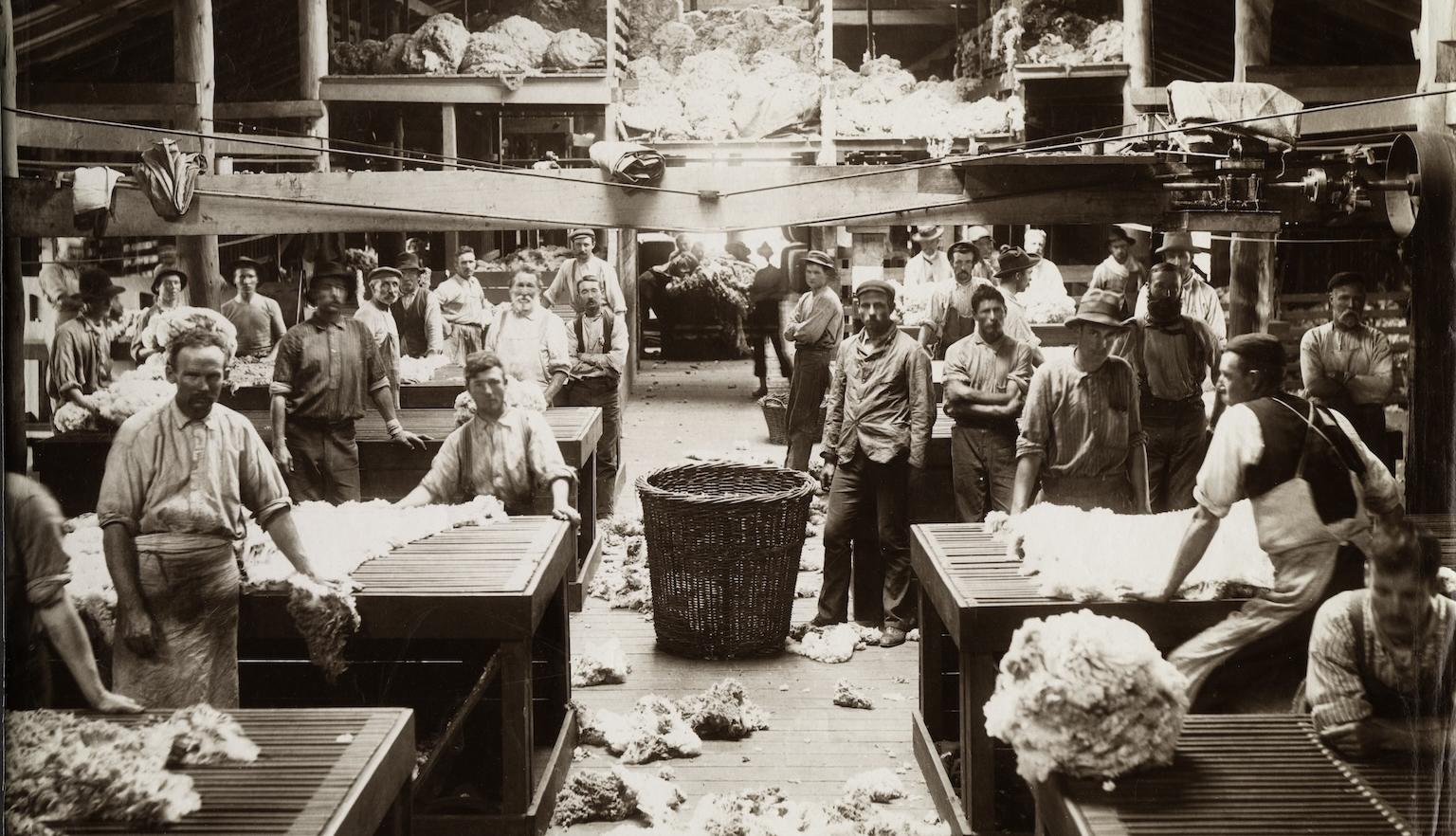 Group of men sorting and grading the wool in the shearing shed