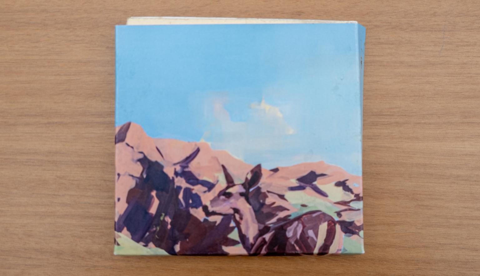 Slipcase with an illustration of a deer standing by a rock formation in front of a blue sky