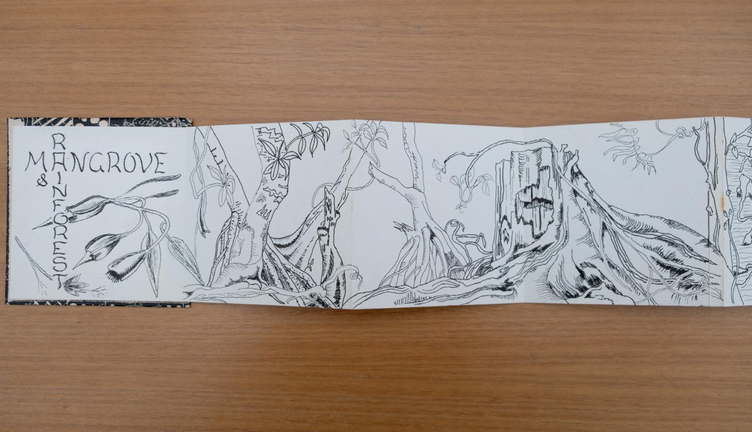 Fold-out travel diary open to four pages with black and white illustrations of trees, a tree stump, vines and other plants from Far North Queensland. The first page also has text reading 'Rainforest & Mangroves'