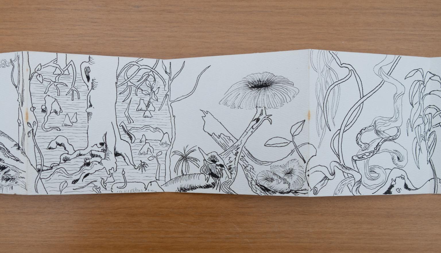 Fold-out travel diary open to three pages with black and white illustrations of trees, vines and other plants from Far North Queensland