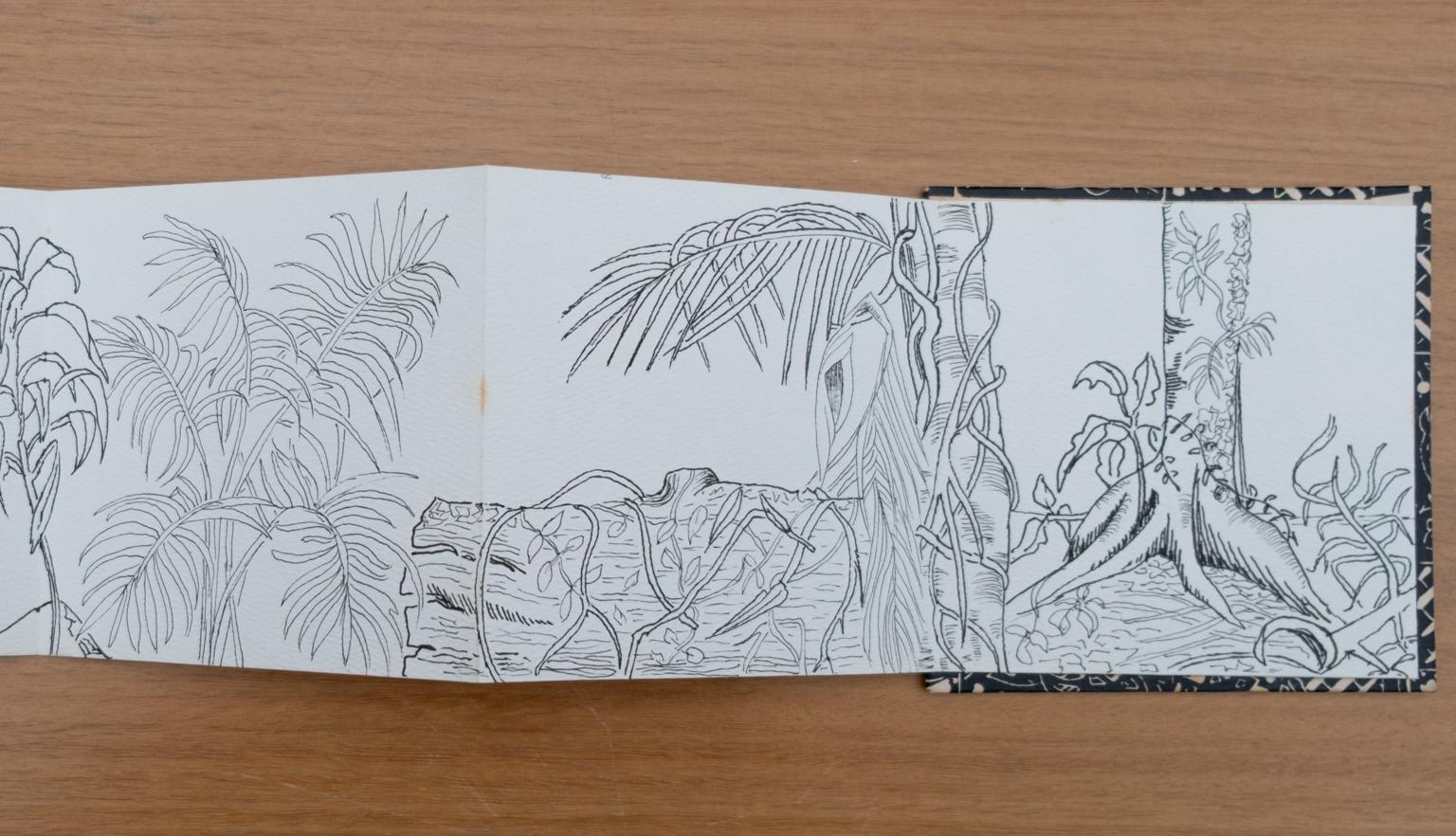 Fold-out travel diary open to three pages with black and white illustrations of trees, vines and other plants from Far North Queensland