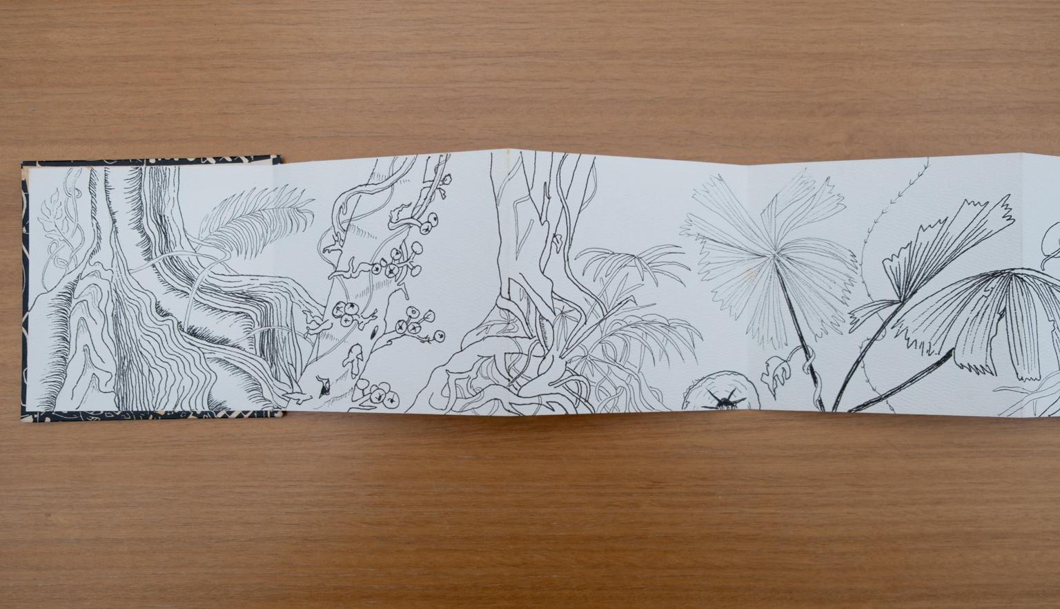 Fold-out travel diary open to four pages with black and white illustrations of trees, vines and other plants from Far North Queensland