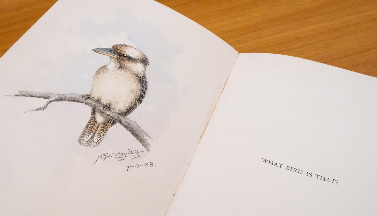 Original watercolour of a kookaburra and signature of Neville W. Cayley on blank page of one of his books. On the opposite page is small text reading 'What bird is that?'