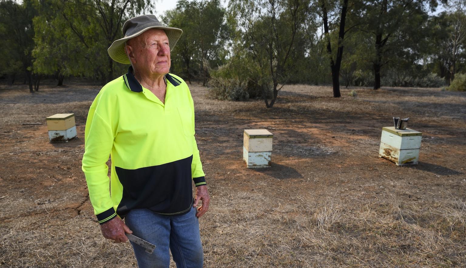 Man in hi-vis walking through his bee colonies