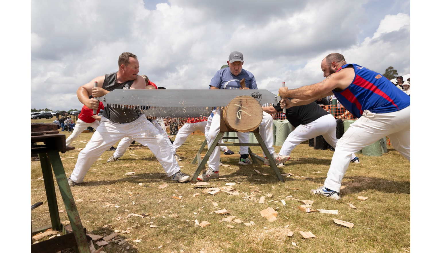 Two men competing in double-handed sawing with another man watching