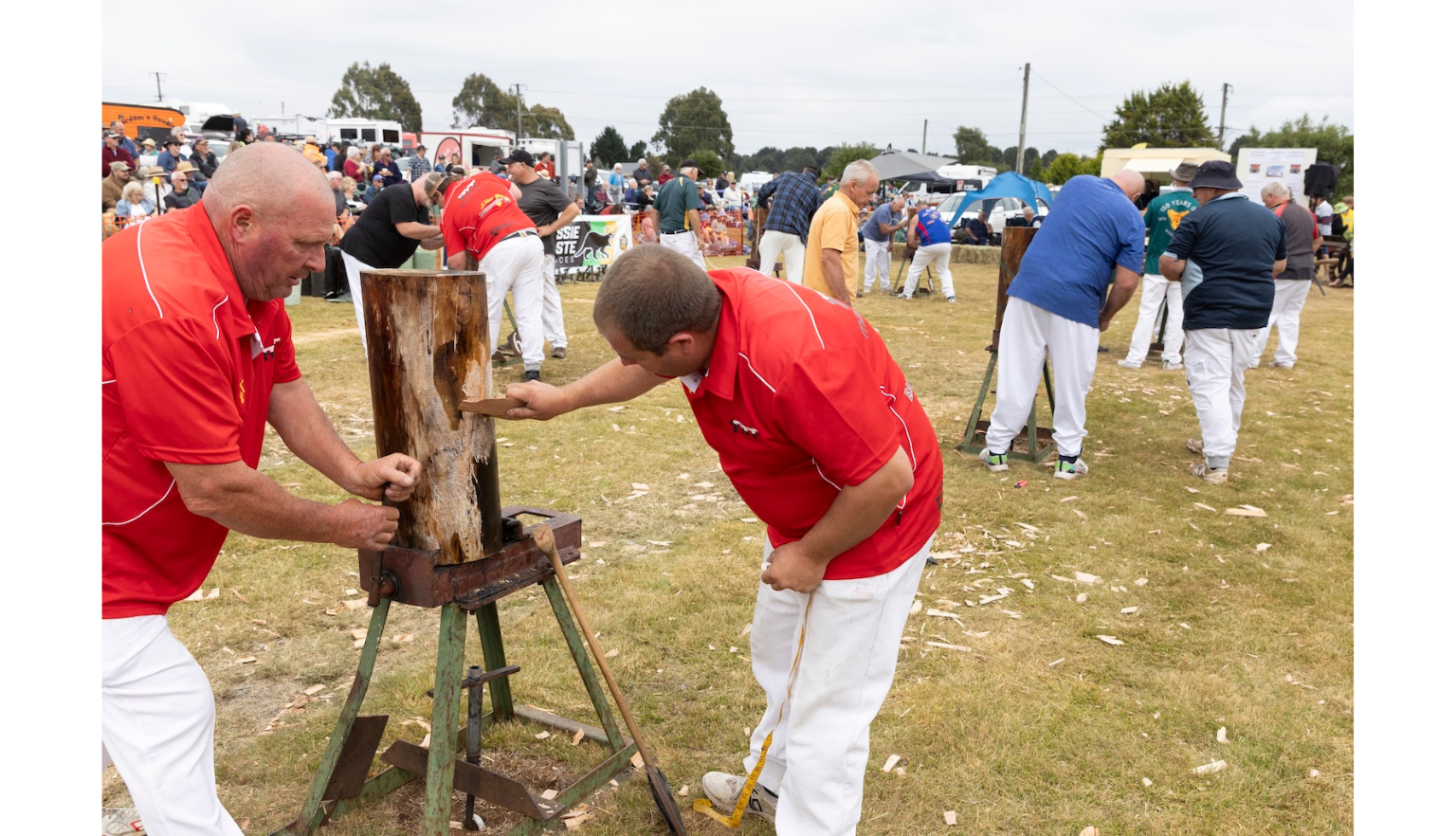Two men in red shirts looking at an upright block of wood with another pair doing the same behind them