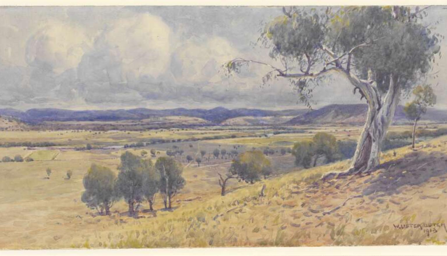 A water colour painting of an Australian landscape with a gum tree in the foreground