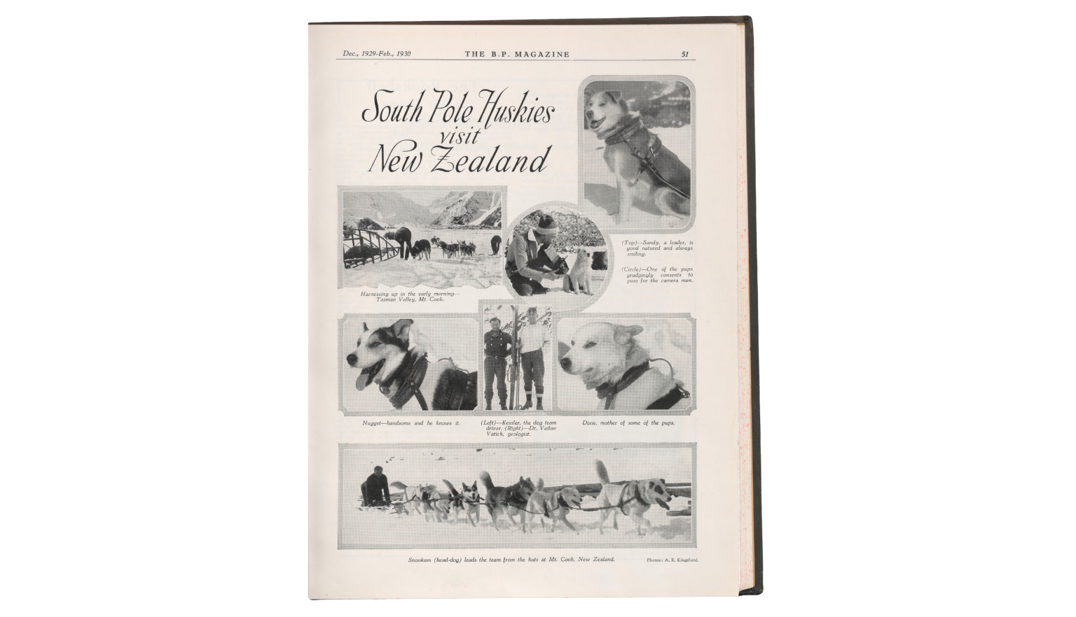 article about South Pole Huskies visiting New Zealand