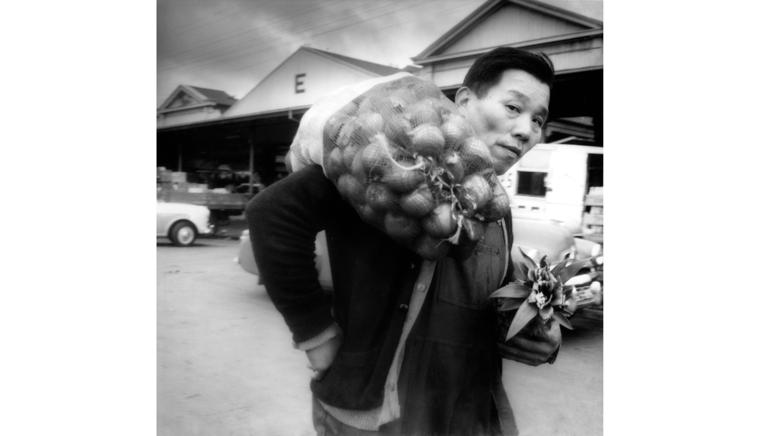 A black-and-white photograph of a man carrying a large sack of produce over his shoulder while holding a small plant. He stands in front of market buildings and cars.
