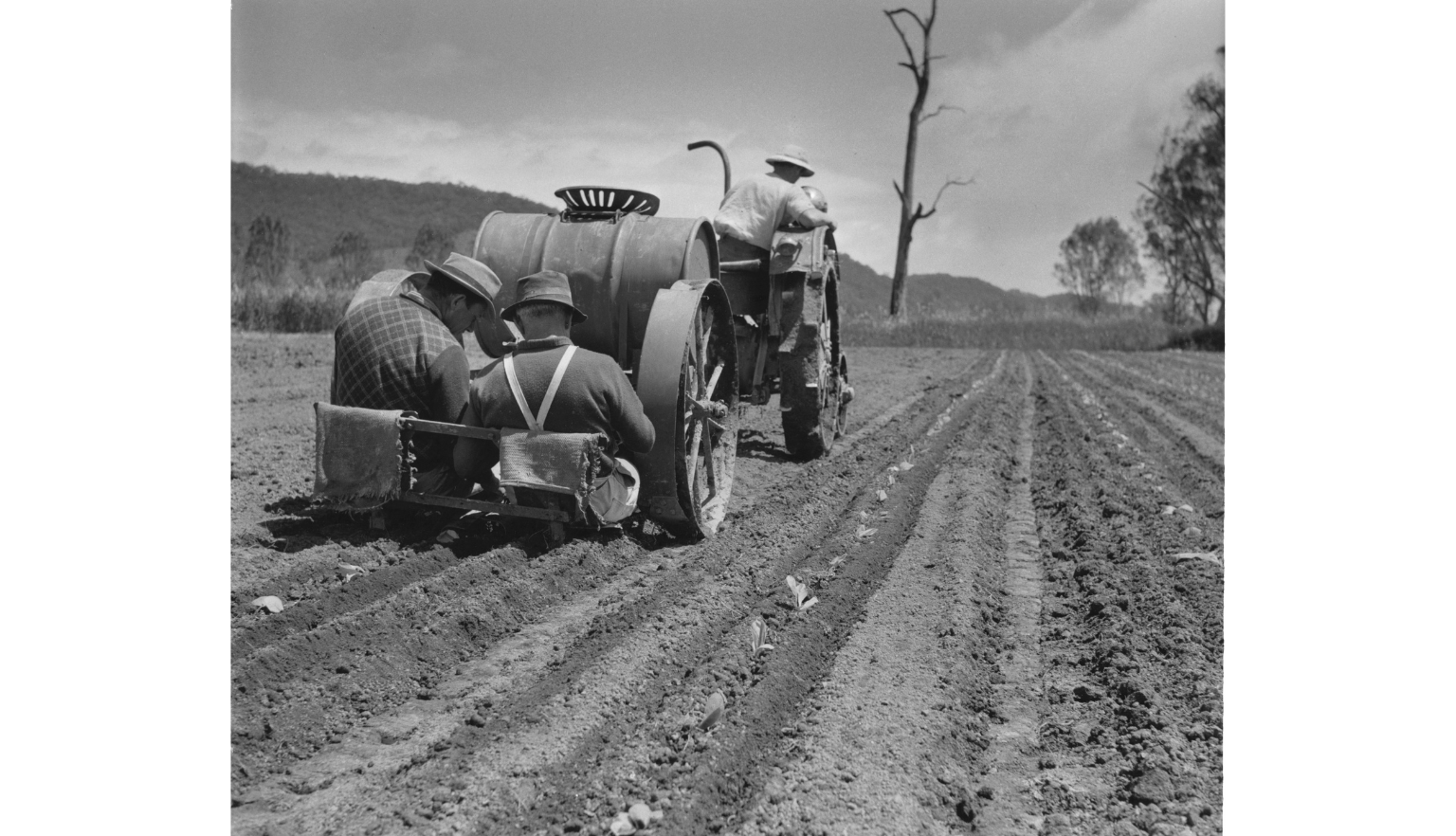 Two people sit on a small, tractor-pulled planting machine, placing plants into the soil. Another person drives the tractor, with rows of freshly plowed earth extending into the distance.