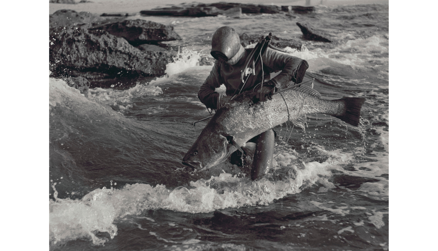 A spearfisher in a wetsuit stands in the surf holding a large fish. Waves crash against rocks in the background as the person steadies themselves in the water.