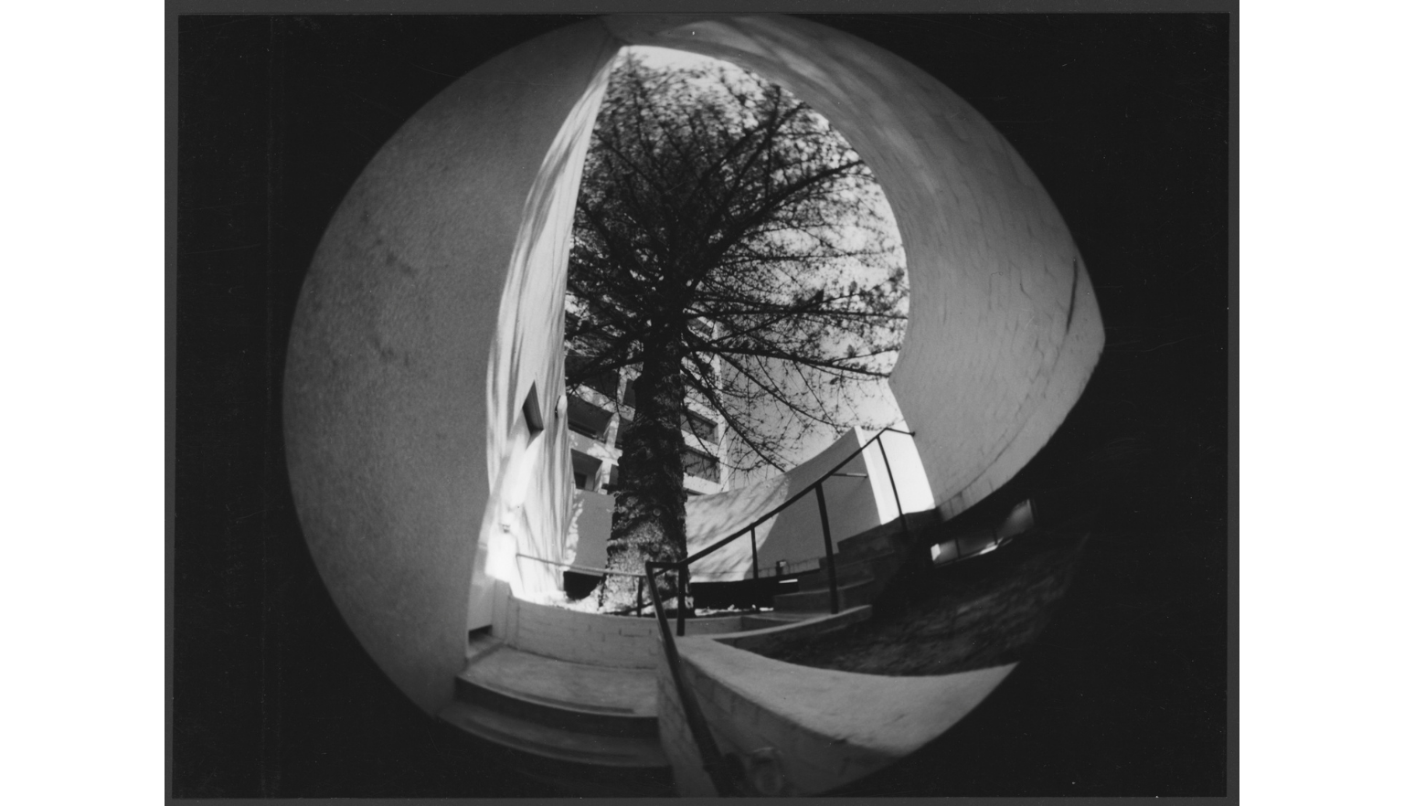 Black and white photo through a fish-eye lense showing a tree in the courtyward of an aprtment building