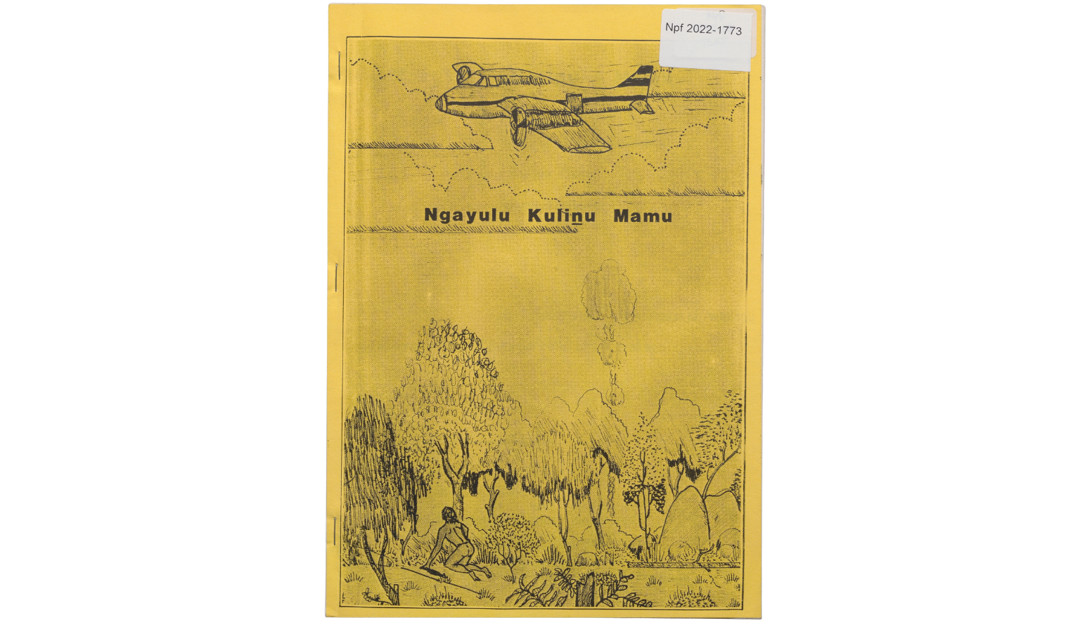 The cover of a book featuring an illustration of a plane flying over bushland. A person is looking up at the plane as it flies over.