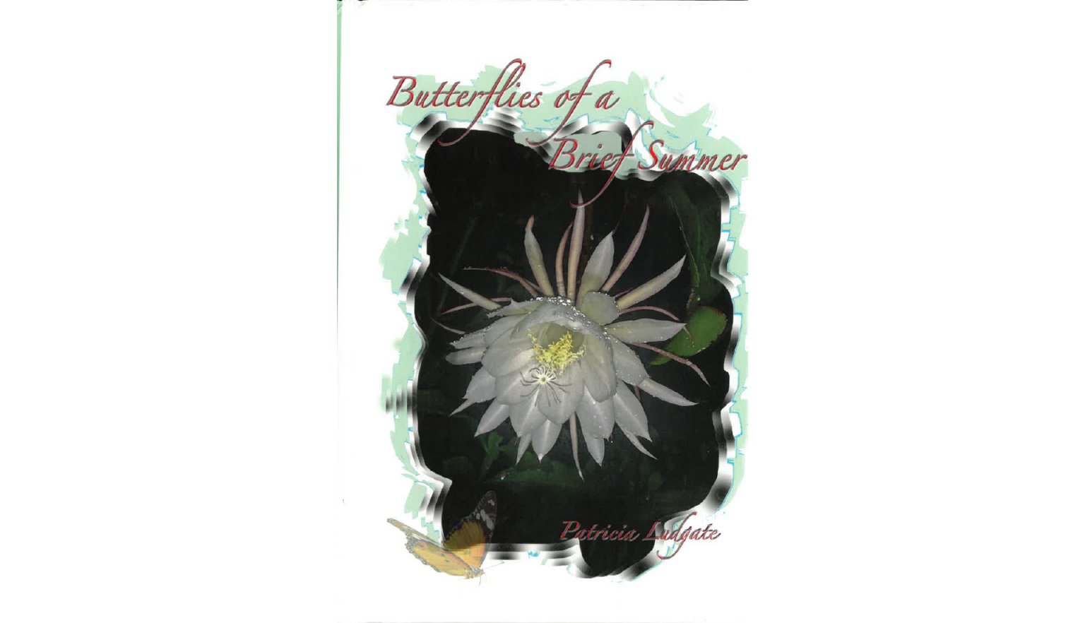 Cover of Butterflies of a Brief Summer written by Patricia Ludgate