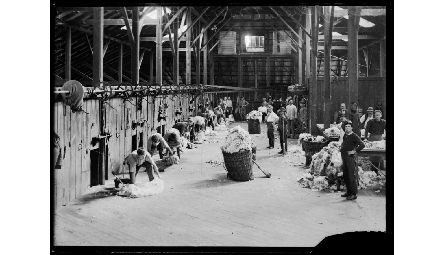 Interior view of a large, rustic industrial building, likely a wool processing or shearing shed, featuring wooden walls and high rafters. Several workers are present, and large baskets filled with raw, fluffy wool are scattered throughout the wooden floor.