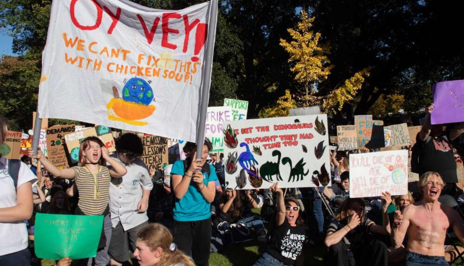 A group of protestors holding a large banner that reads "OY VEY! WE CANT FIX THIS WITH CHICKEN SOUP!" in a park setting.