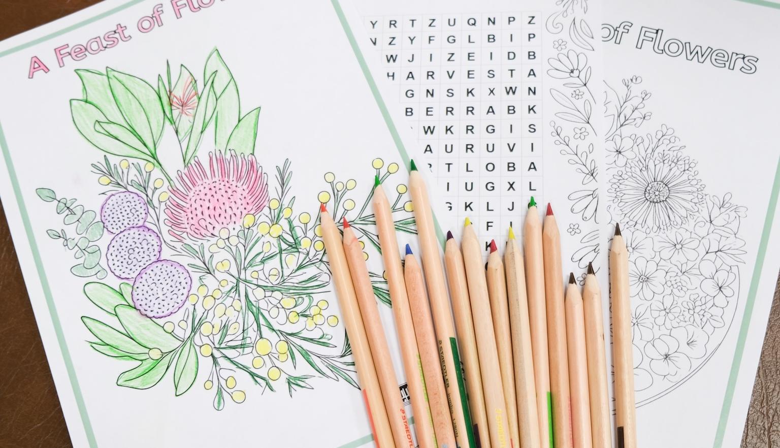 Pencils scattered over the top of a colouring in page with a wattle, a word search and another colouring in page.  