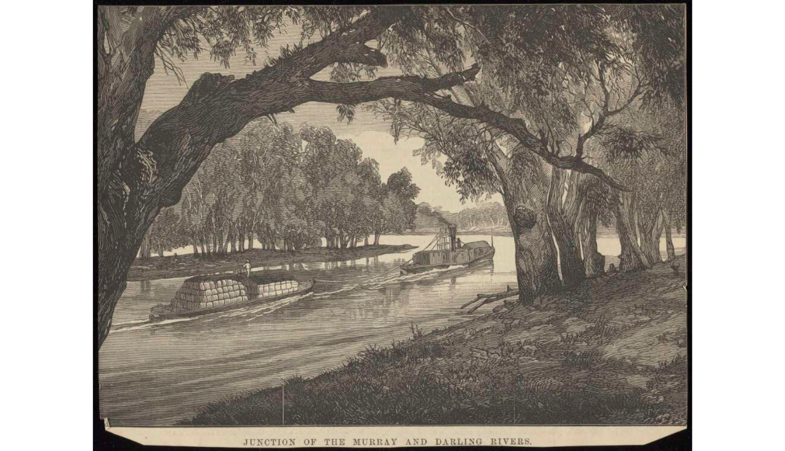 Historic engraving of paddle steamers on a tree-lined river at the junction of the Murray and Darling rivers.