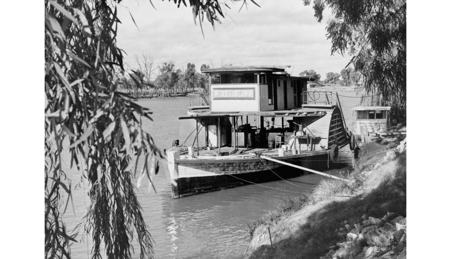 Paddle steamer moored on a riverbank, framed by overhanging gum tree branches.