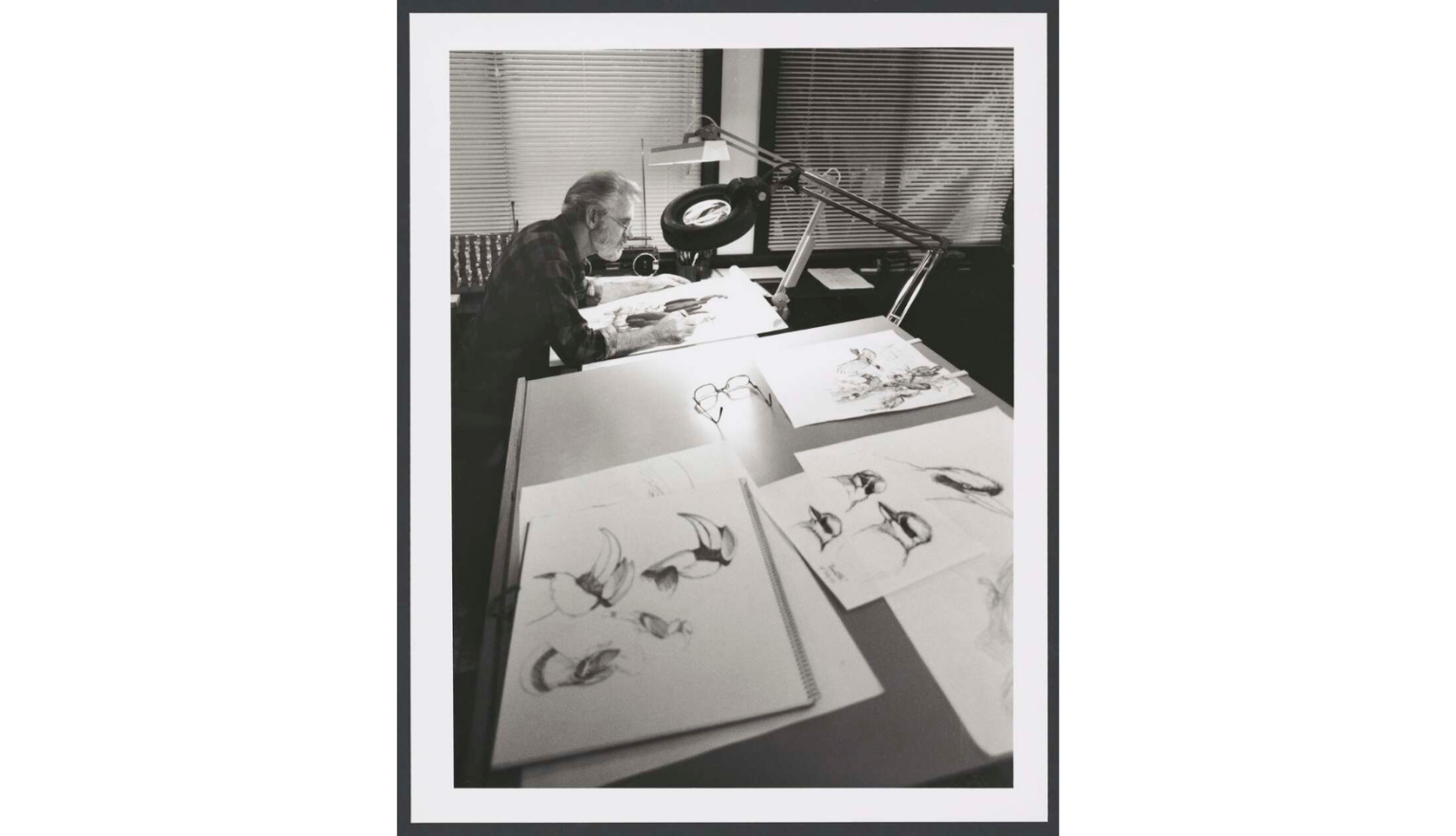 A black-and-white photo of an older man with glasses, seated at a desk and sketching birds. Several bird drawings are spread across the desk, and a magnifying lamp illuminates his work area. The scene suggests a dedicated artist or illustrator in their studio.