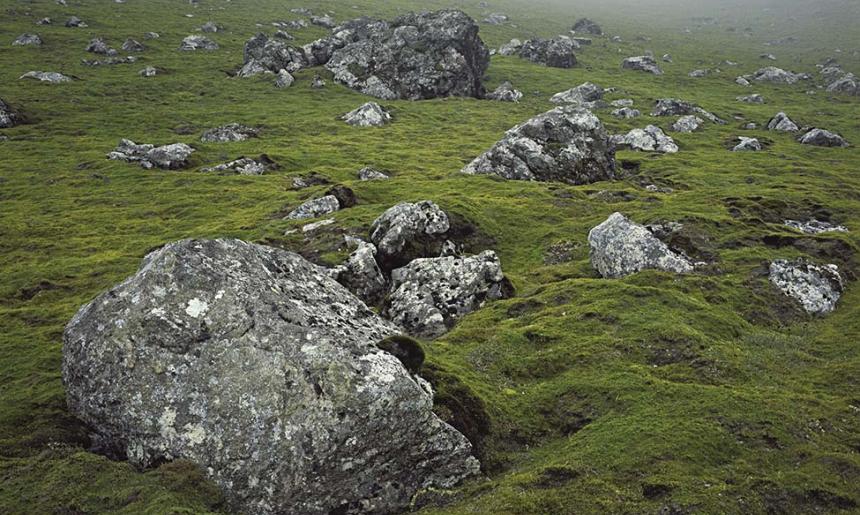 Many grey boulders scattered on a mossy-looking ground cover.